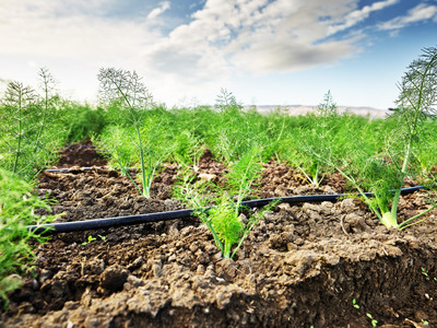 Filtrazione per irrigazione agricola